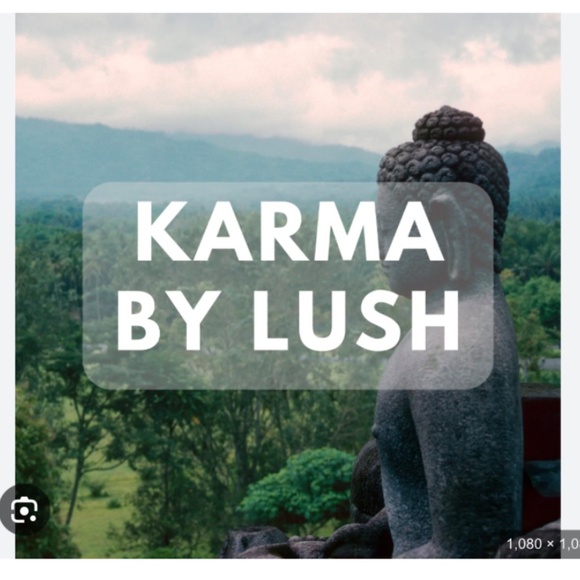 Karma massage bar by Lush - Picture 2 of 4